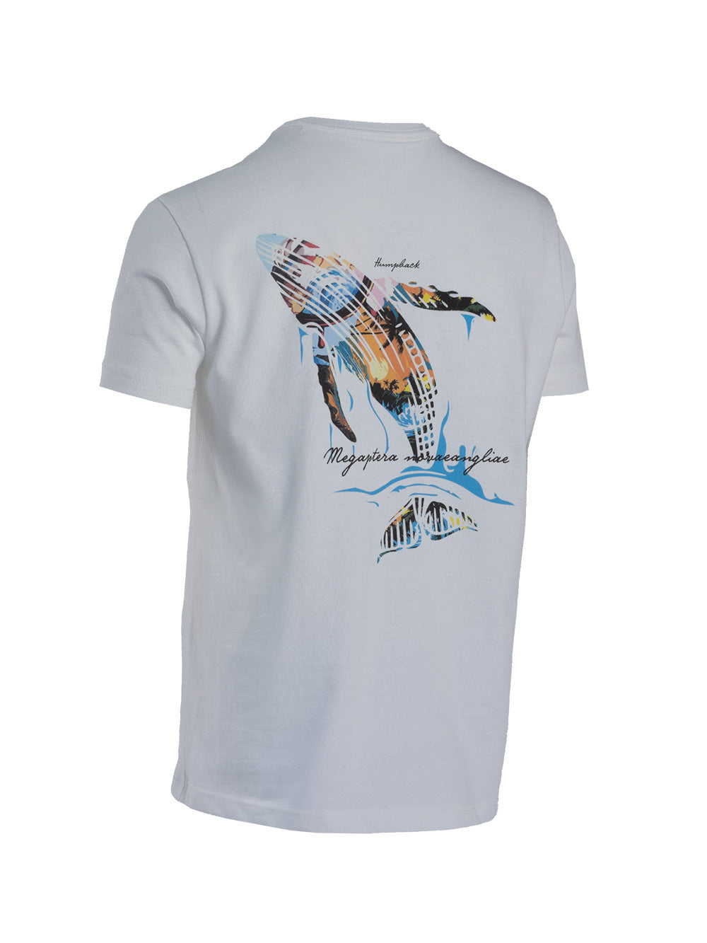 Graphite T-shirt - Kambur Balina - Stafu Pro Series