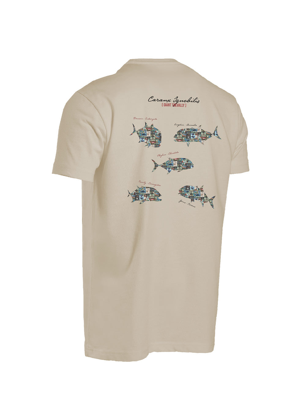 Graphite T-shirt - GT - Stafu Pro Series