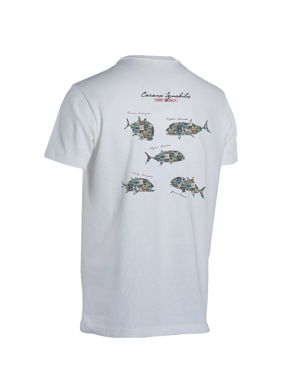 Graphite T-shirt - GT - Stafu Pro Series