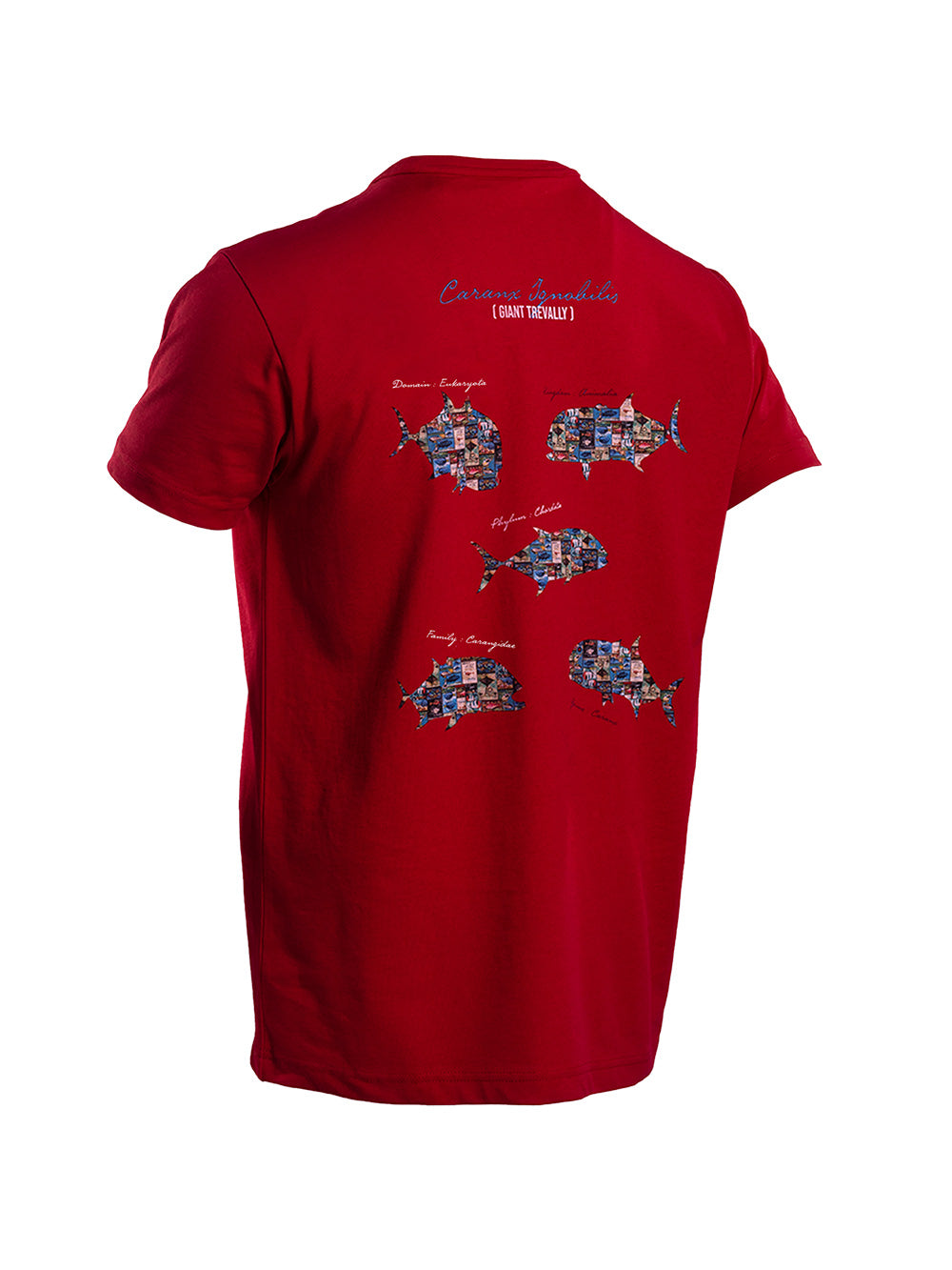 Graphite T-shirt - GT - Stafu Pro Series