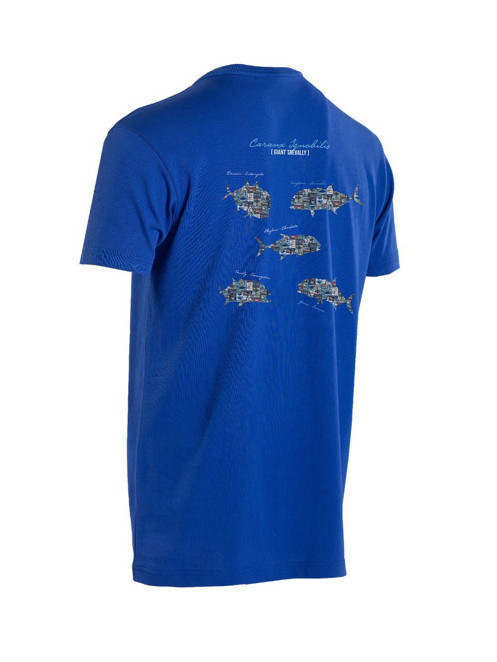 Graphite T-shirt - GT - Stafu Pro Series