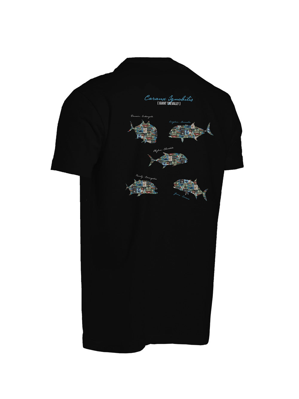 Graphite T-shirt - GT - Stafu Pro Series