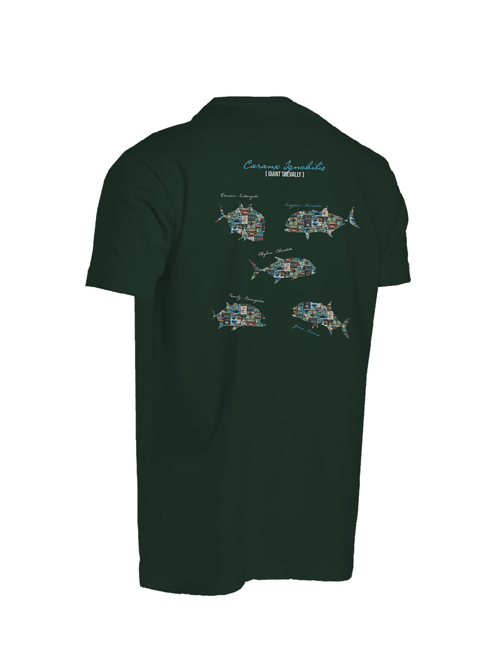 Graphite T-shirt - GT - Stafu Pro Series